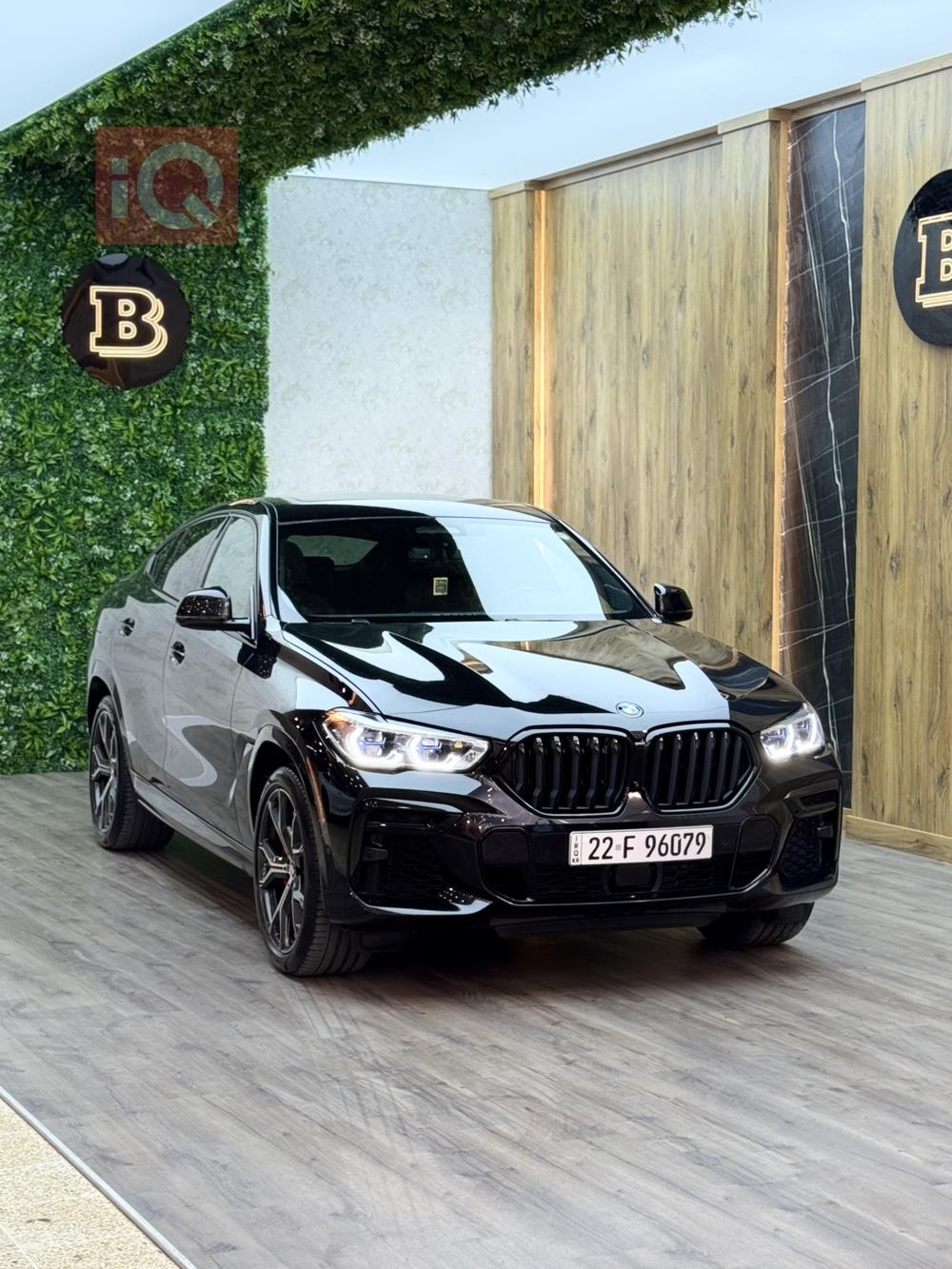 BMW X6